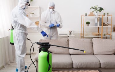 Cleaning company making treatment of sofas and surfaces from coronavirus, preventive measures, copy space